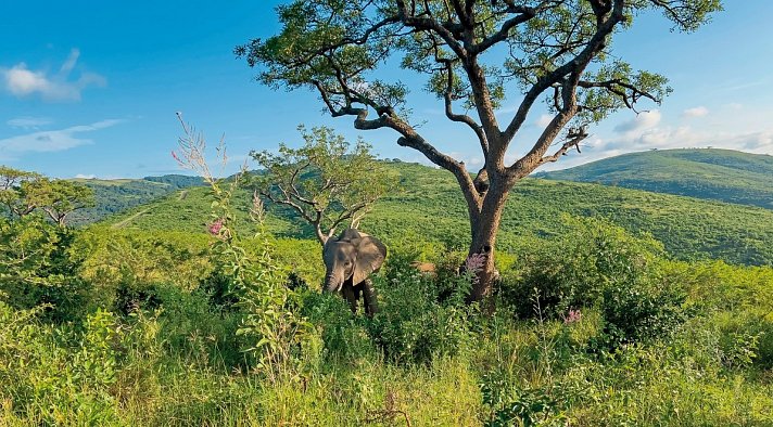 Südafrika à la carte - Kleingruppenreise