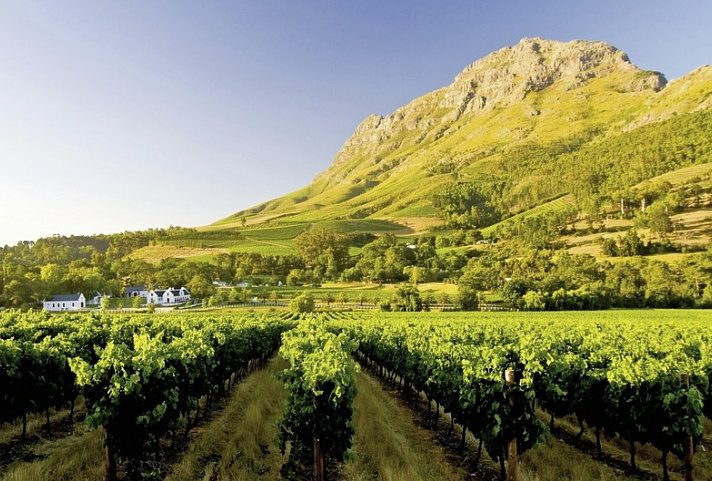 Stippvisite Südafrika – Kleingruppenreise - Weinregion bei Stellenbosch
