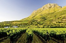 Die Highlights Südafrikas erleben - Weinregion bei Stellenbosch