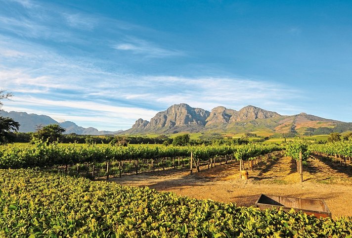 Die Highlights Südafrikas erleben
