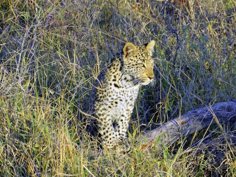 Höhepunkte Mpumalangas