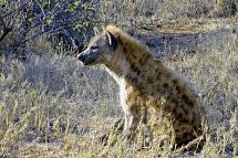 Höhepunkte Mpumalangas