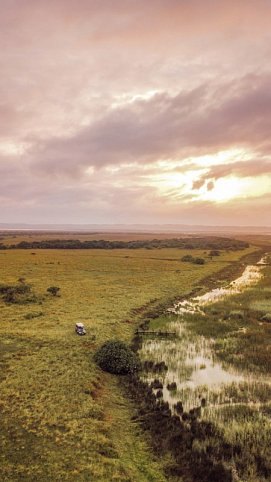 Berge, Tiere & Weltnaturerbe - Wildbeobachtungsfahrt