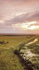 Berge, Tiere & Weltnaturerbe - Wildbeobachtungsfahrt