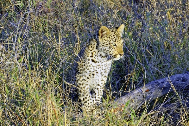Höhepunkte Mpumalangas (Autoreise)