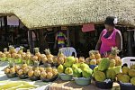Panorama Südafrika (Autoreise)