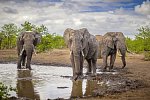 Mpumalanga - Im Reich der wilden Tiere