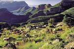 Mpumalanga - Im Reich der wilden Tiere