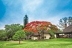 Mpumalanga - Im Reich der wilden Tiere