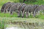 Mpumalanga - Im Reich der wilden Tiere