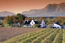 Südafrika zum Verweilen (Johannesburg-Kapstadt) - Weinregion