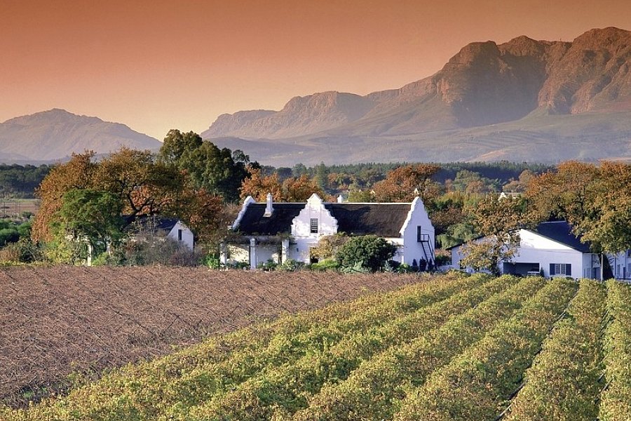Südafrika zum Verweilen (Johannesburg-Kapstadt) - Weinregion