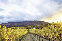 Südafrika zum Verweilen (Johannesburg-Kapstadt) - Winelands