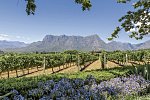 Südafrika zum Verweilen (Johannesburg-Kapstadt)