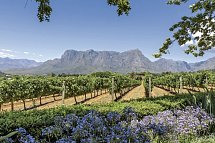 Südafrika zum Verweilen (Johannesburg-Kapstadt) - Winelands