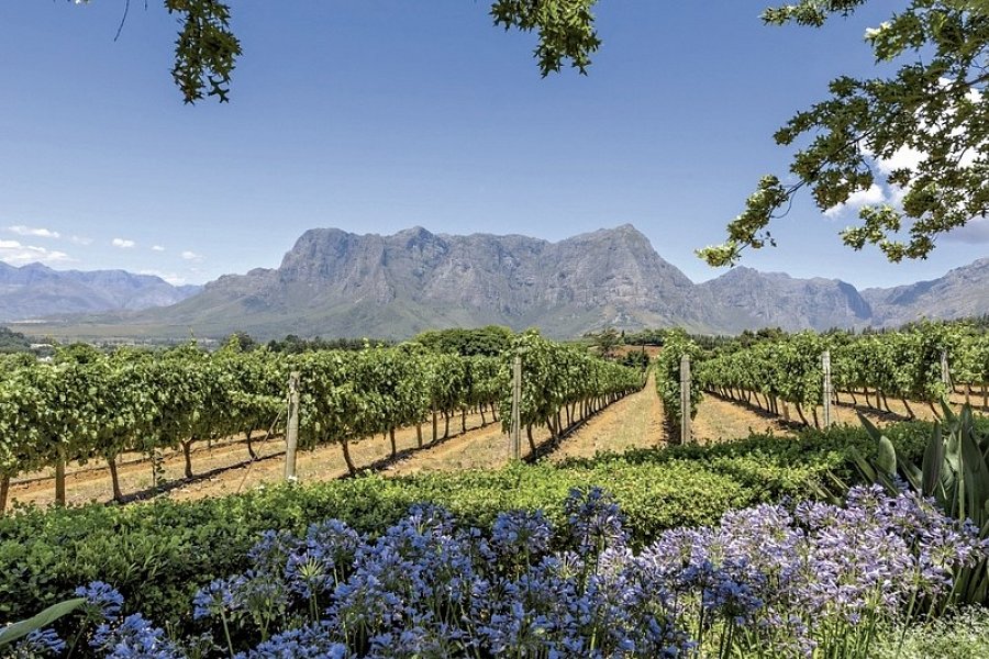 Südafrika zum Verweilen (Johannesburg-Kapstadt) - Winelands