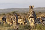 Südafrika zum Verweilen (Johannesburg-Kapstadt)