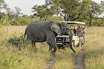 Südafrika zum Verweilen (Johannesburg-Kapstadt)