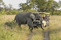 Südafrika zum Verweilen (Johannesburg-Kapstadt)