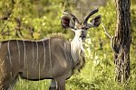 Best of South Africa von Johannesburg nach Kapstadt