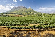 Best of South Africa von Johannesburg nach Kapstadt