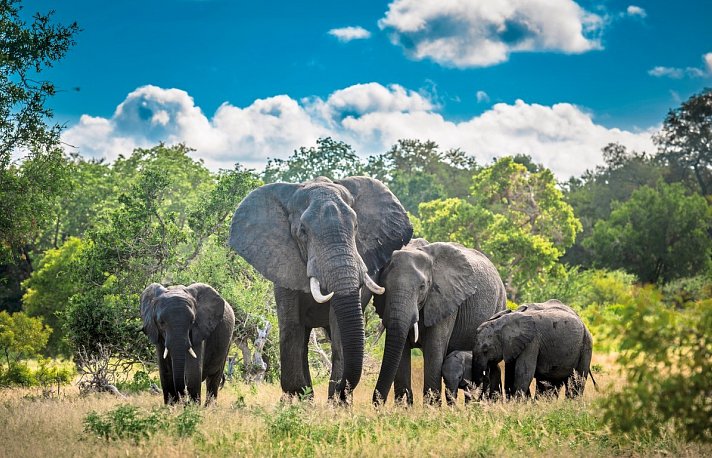 Best of South Africa von Johannesburg nach Kapstadt