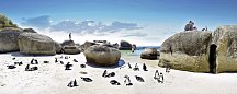 Best of South Africa von Johannesburg nach Kapstadt - Boulders Beach