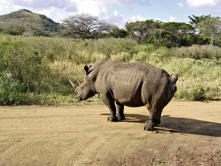 Best of South Africa von Johannesburg nach Kapstadt
