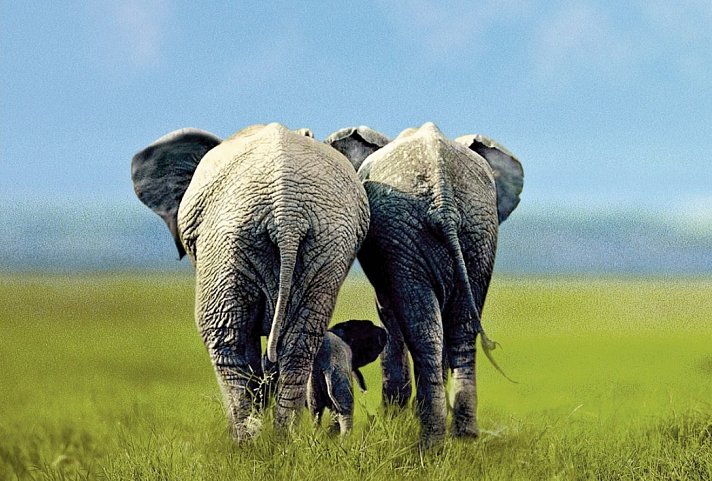 Drifters - South Africa Explorer