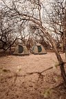 Drifters - Botswana Explorer Johannesburg - Victoria Falls - Drifters Zelt