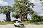 Drifters - Botswana Explorer Johannesburg - Victoria Falls