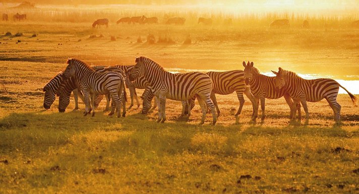 Drifters - Botswana Explorer Johannesburg - Victoria Falls