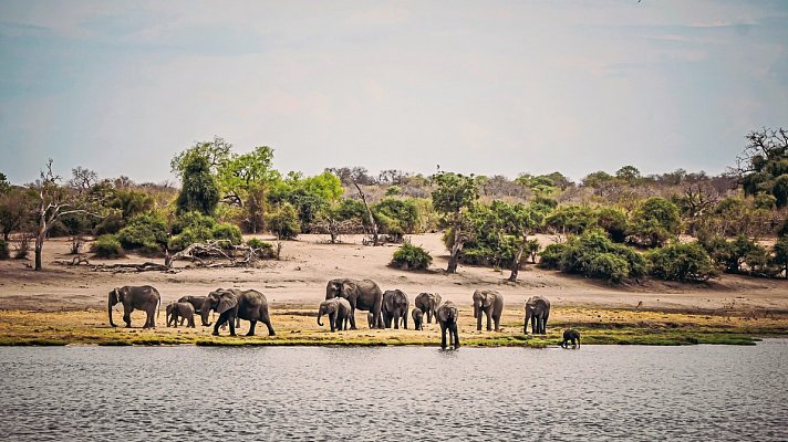 Drifters - Botswana Explorer Johannesburg - Victoria Falls