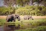 Drifters - Botswana Explorer Johannesburg - Victoria Falls
