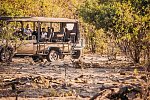 Drifters - Botswana Explorer Johannesburg - Victoria Falls
