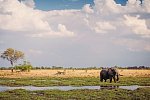 Drifters - Botswana Explorer Johannesburg - Victoria Falls