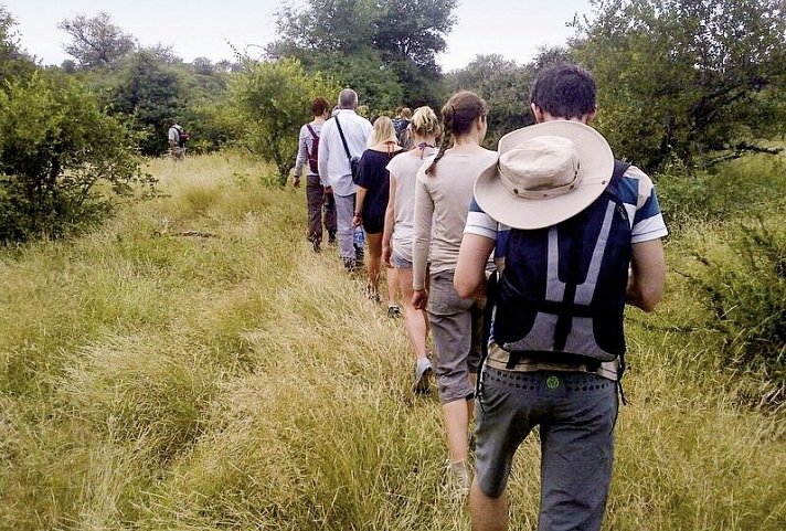 Drifters - Abenteuer Krüger Park - Balule Reserve