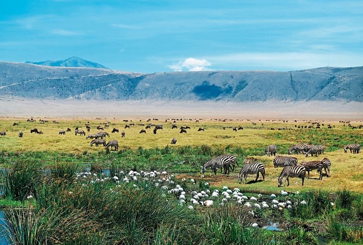 Tansania Pur - Ngorongoro Krater