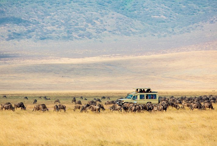 Die große Ostafrika Safari - Game Drive