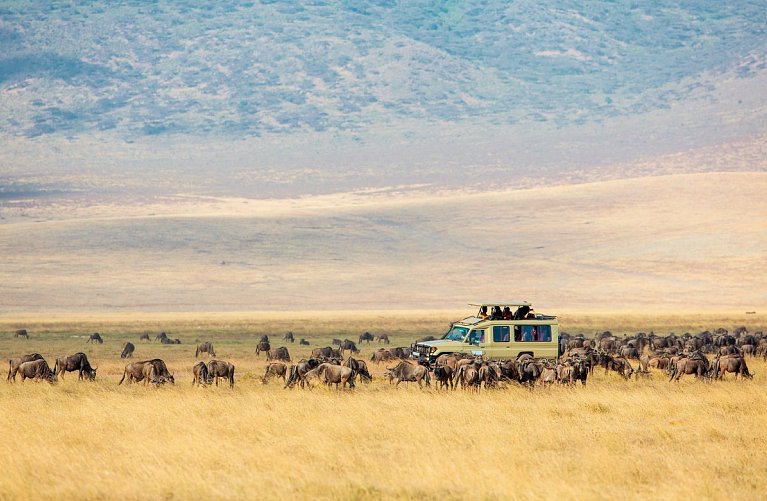 Die große Ostafrika Safari