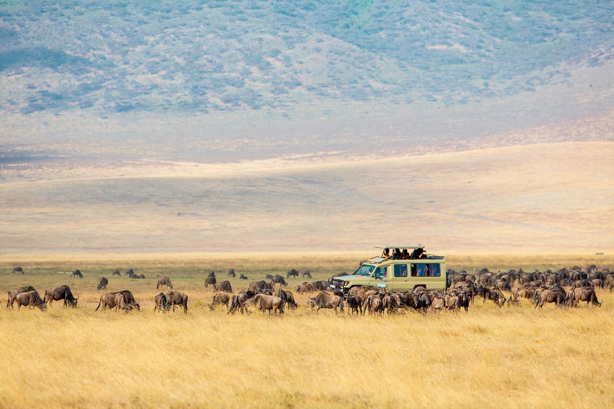 Die große Ostafrika Safari