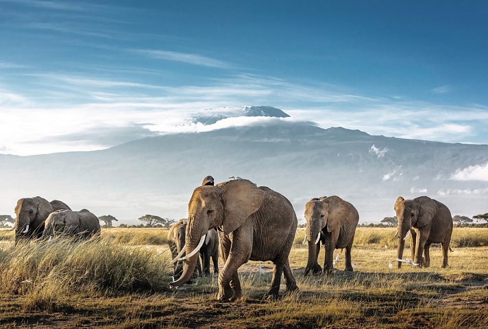 Die große Ostafrika Safari