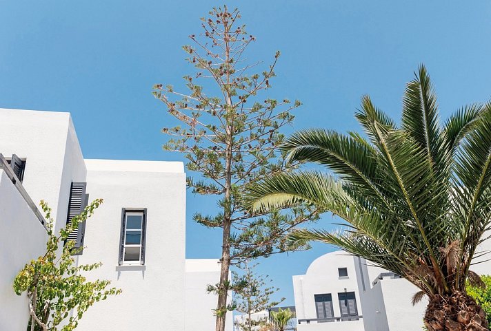 Scorpios Beach Santorini