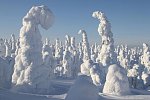 Winter Wonderland Ruka