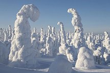 Winter Wonderland Ruka