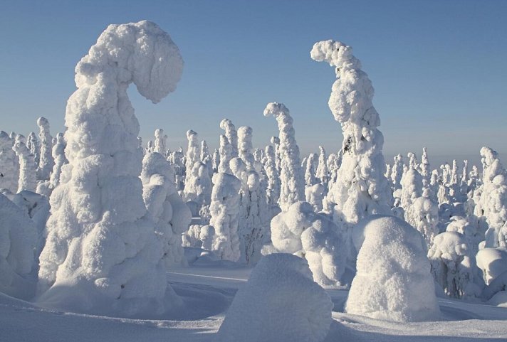 Winter Wonderland Ruka
