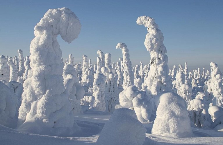 Winter Wonderland Ruka