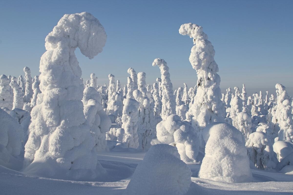Winter Wonderland Ruka