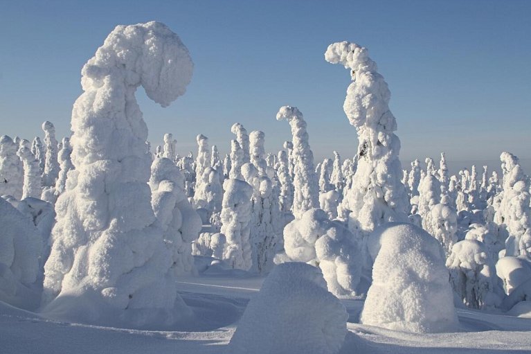 Winter Wonderland Ruka