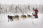 Winter Wonderland Ruka